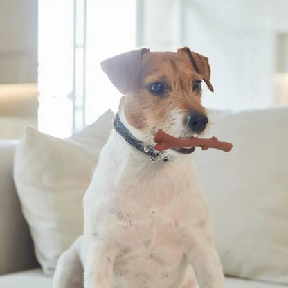 Juguete de plastico en forma de rama para mascotas