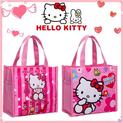 Bolsa plastificada chica 22cm×21cm sanrio variado