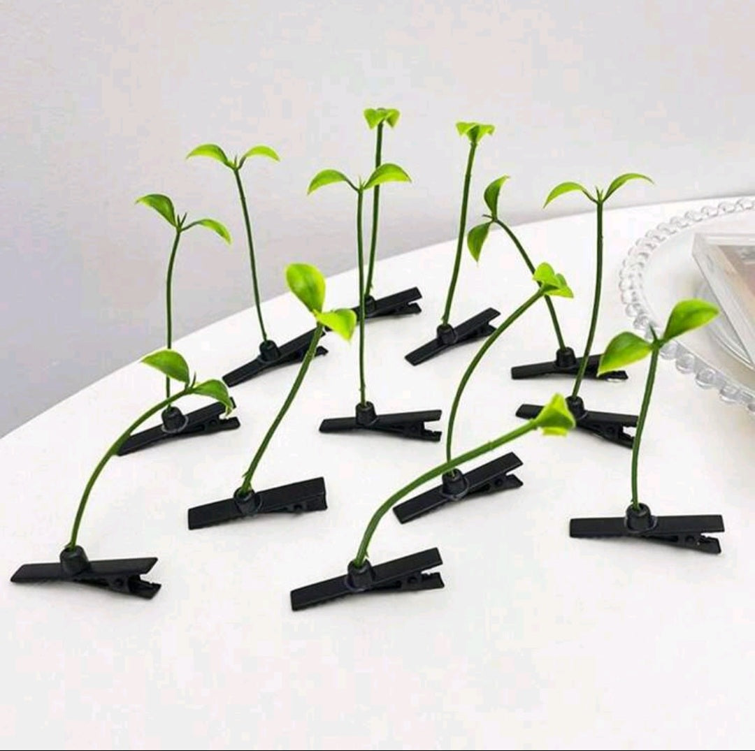 Plantas Accesorio para el Cabello